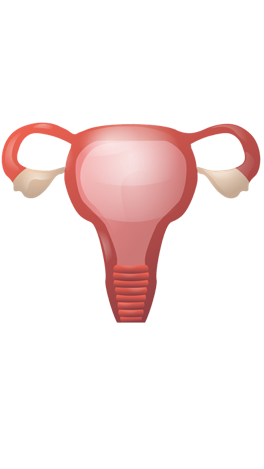 Sexual Health - Lip Doctor expert